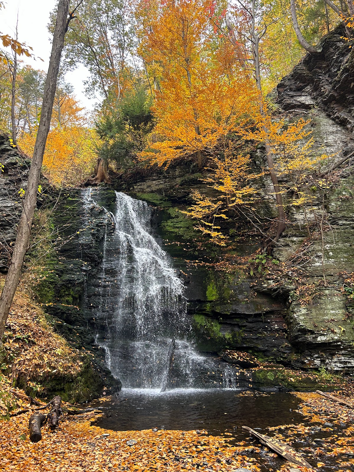Bushkill Falls (Delaware Water  Gap)