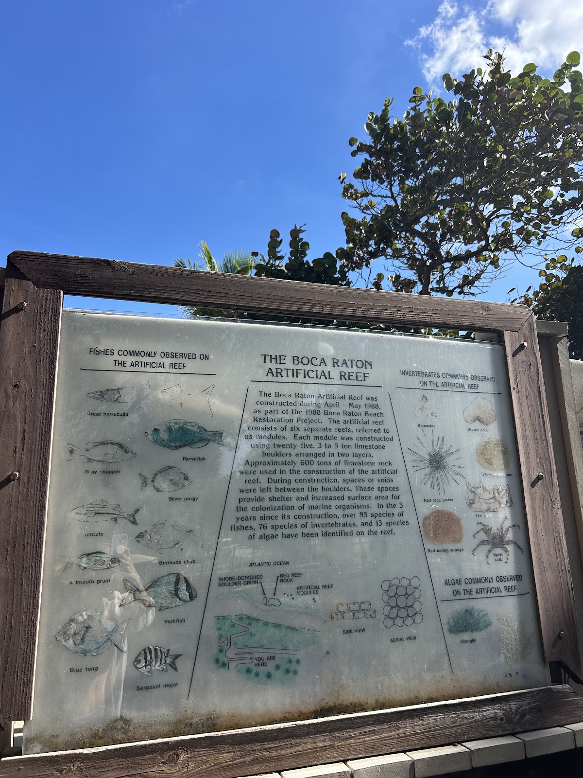 2 Days in Boca Raton, Florida