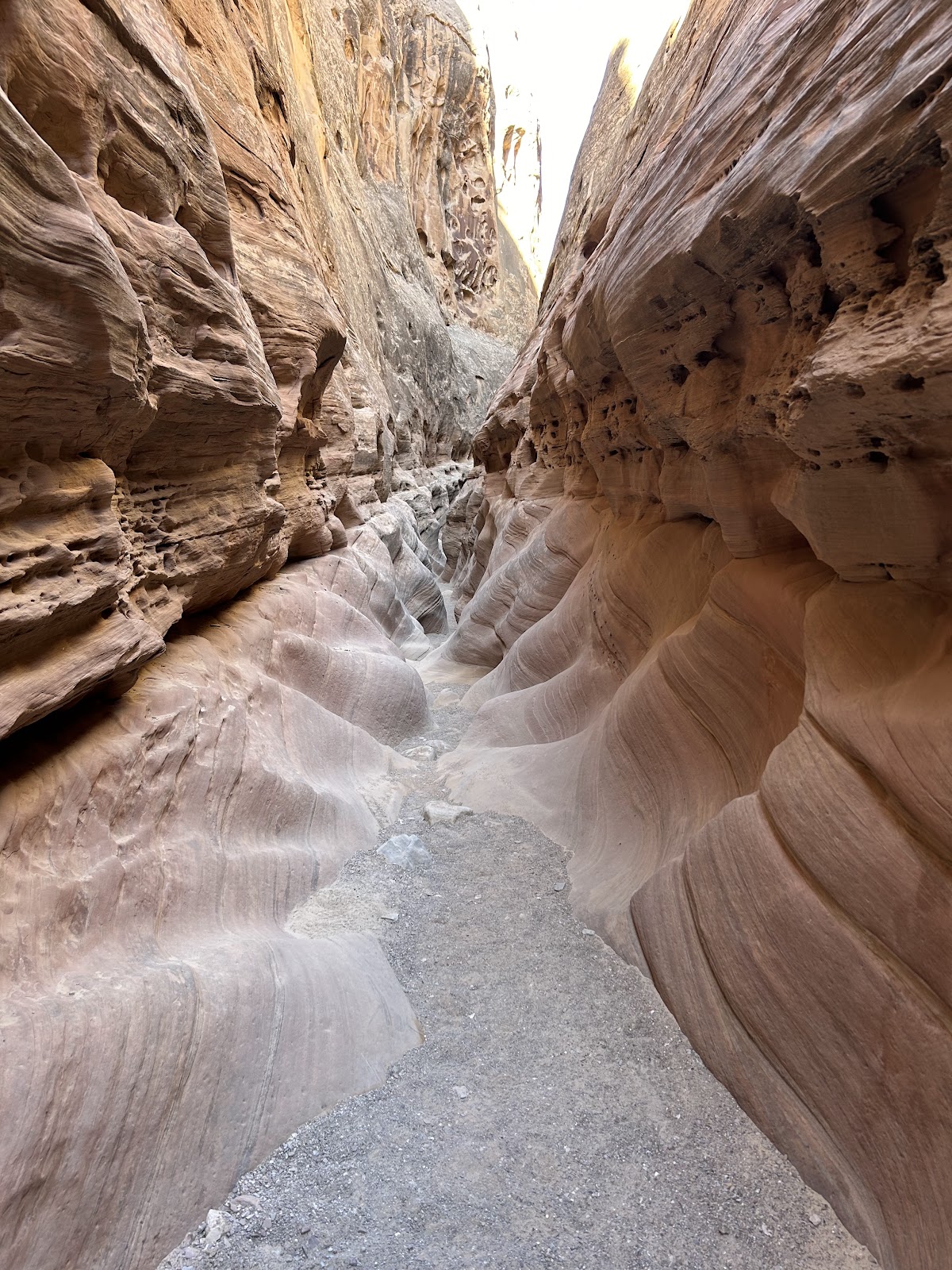 Half a Day in Little Wild Horse Canyon