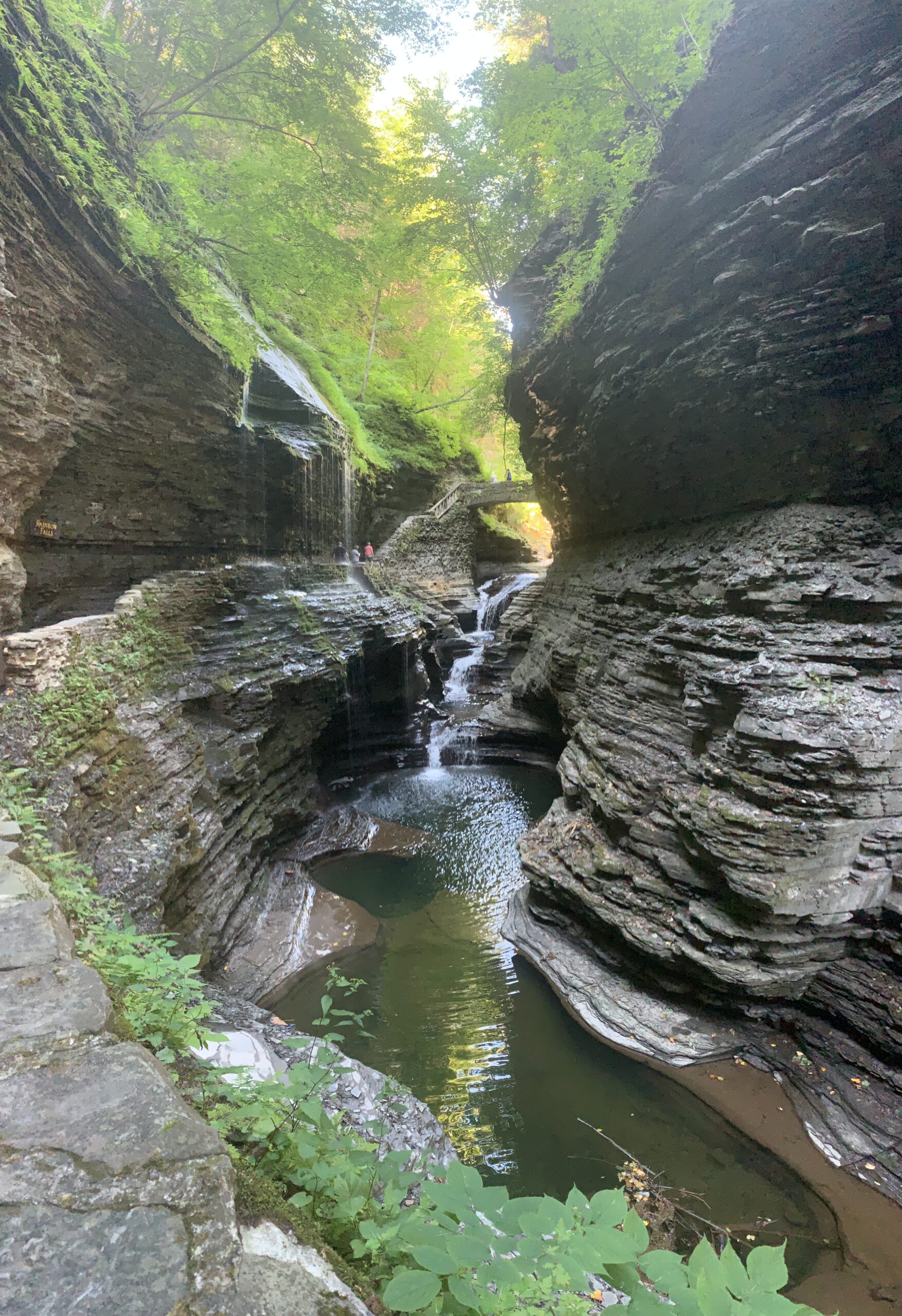One Weekend in the Finger Lakes